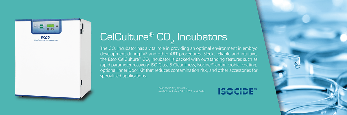 CelCulture® CO2 Incubator